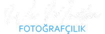 WeMedya Logo